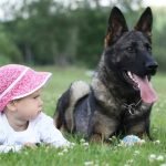 Large Dog Breeds The Whole Family Will Love