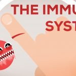 Give Your Immune System A Boost This Season