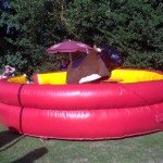 Hire Safe And Reliable Quality Rodeo Bull With Rodeo Bull Hire London