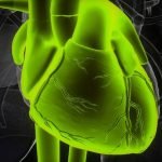 Causes Of Mitral Regurgitation