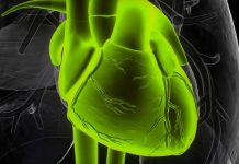 Causes Of Mitral Regurgitation