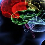 Learn Where To Find Neurotransmitter Testing Facilities